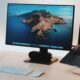Featured Image - Best Thunderbolt 3 Monitors