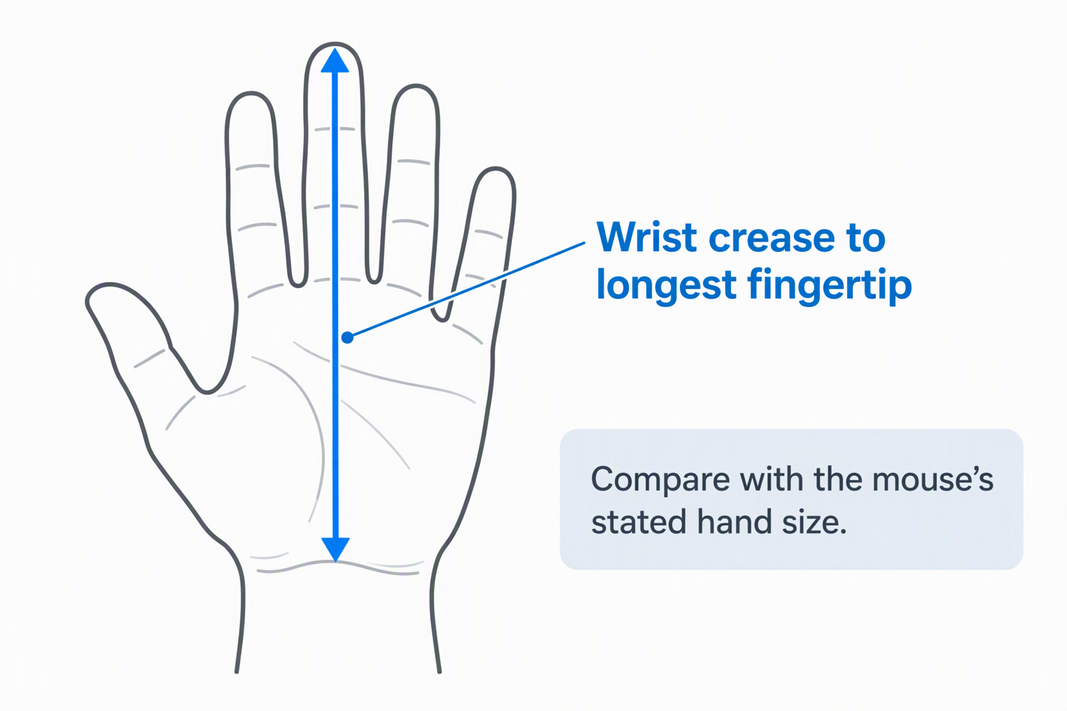 An open hand outline with an arrow from the wrist crease to the longest fingertip and a note to compare it with the mouse's stated hand size.